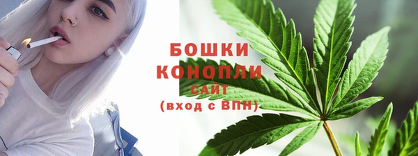прущие грибы Зерноград