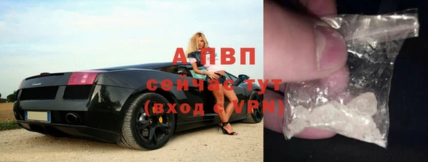 ПСИЛОЦИБИНОВЫЕ ГРИБЫ Армянск