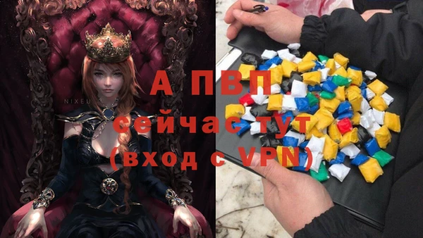 соль ск Зеленодольск