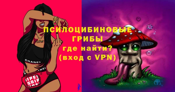 ПСИЛОЦИБИНОВЫЕ ГРИБЫ Армянск
