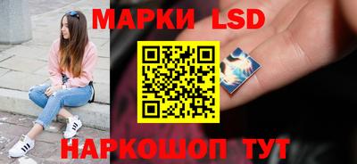 apvp Можга