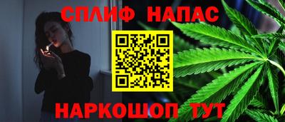 apvp Можга