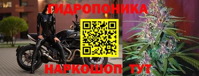 apvp Можга