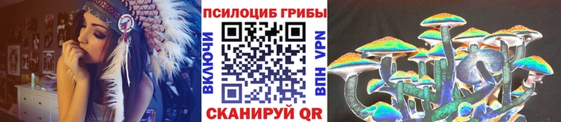 где найти   Шатура  Псилоцибиновые грибы ЛСД 
