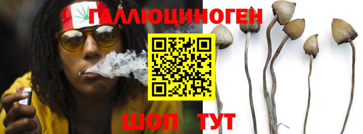 Галлюциногенные грибы мицелий Шатура
